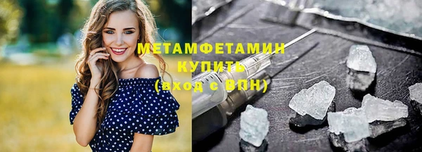 прущие грибы Богородицк