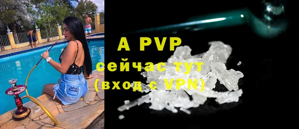 прущие грибы Богородицк