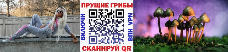 Псилоцибиновые грибы прущие грибы  Тихвин 